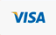 Visa Logo