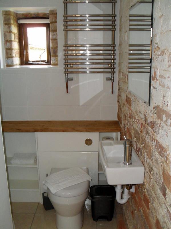 Toad Hall Bathroom