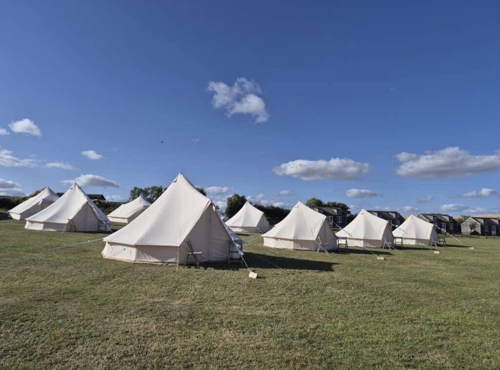 Elegant glamping tents set on lush green grass under a blue sky.